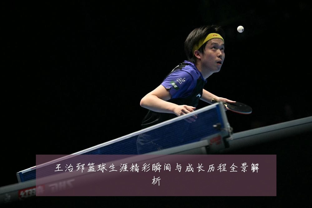 王治郅篮球生涯精彩瞬间与成长历程全景解析